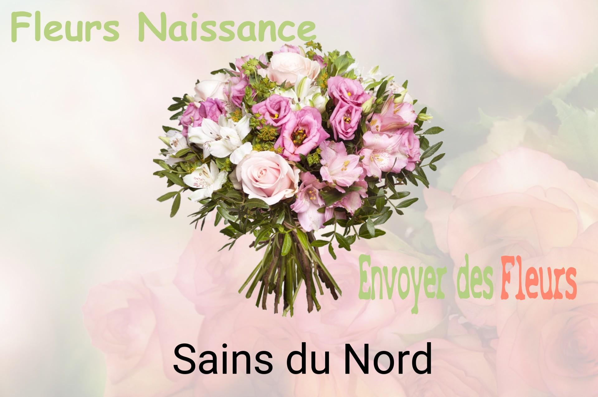Bouquet de fleurs de naissance livré à Sains-du-Nord